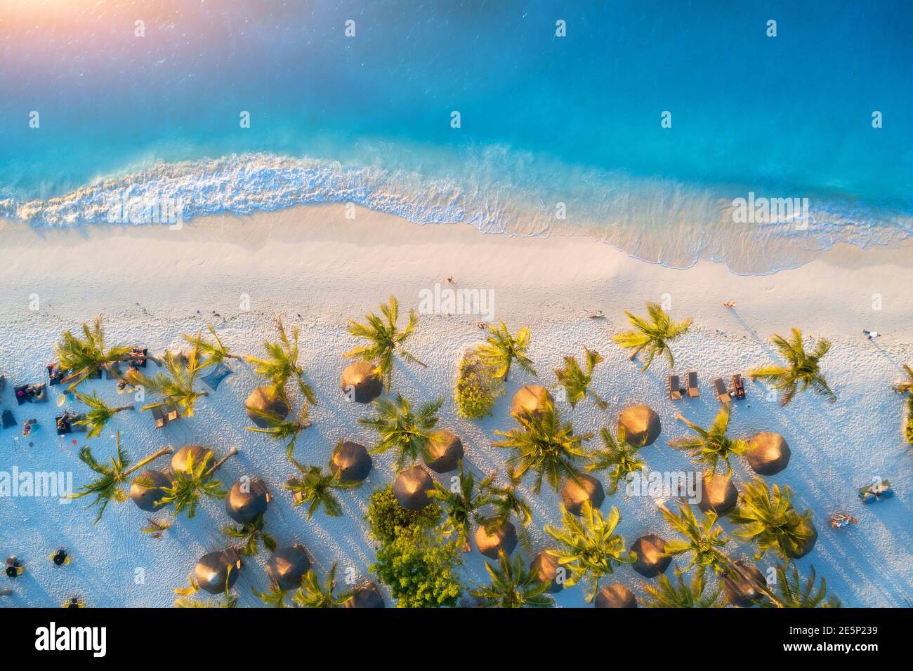 Luftaufnahme von Schirme, grüne Palmen am Sandstrand Stockfoto