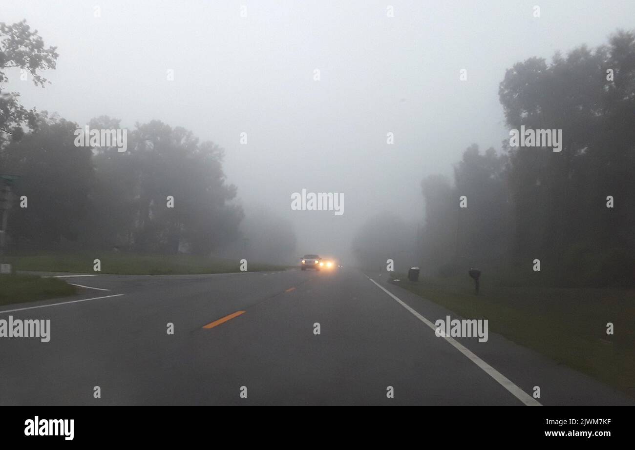 Am frühen Morgen pendeln Sie durch den Nebel im ländlichen Norden Floridas. Stockfoto