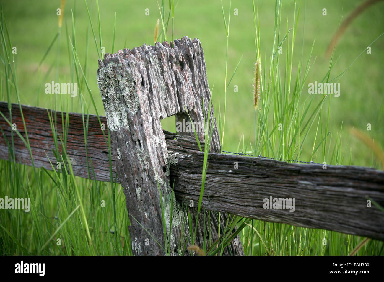 Post und Zaun Stockfoto