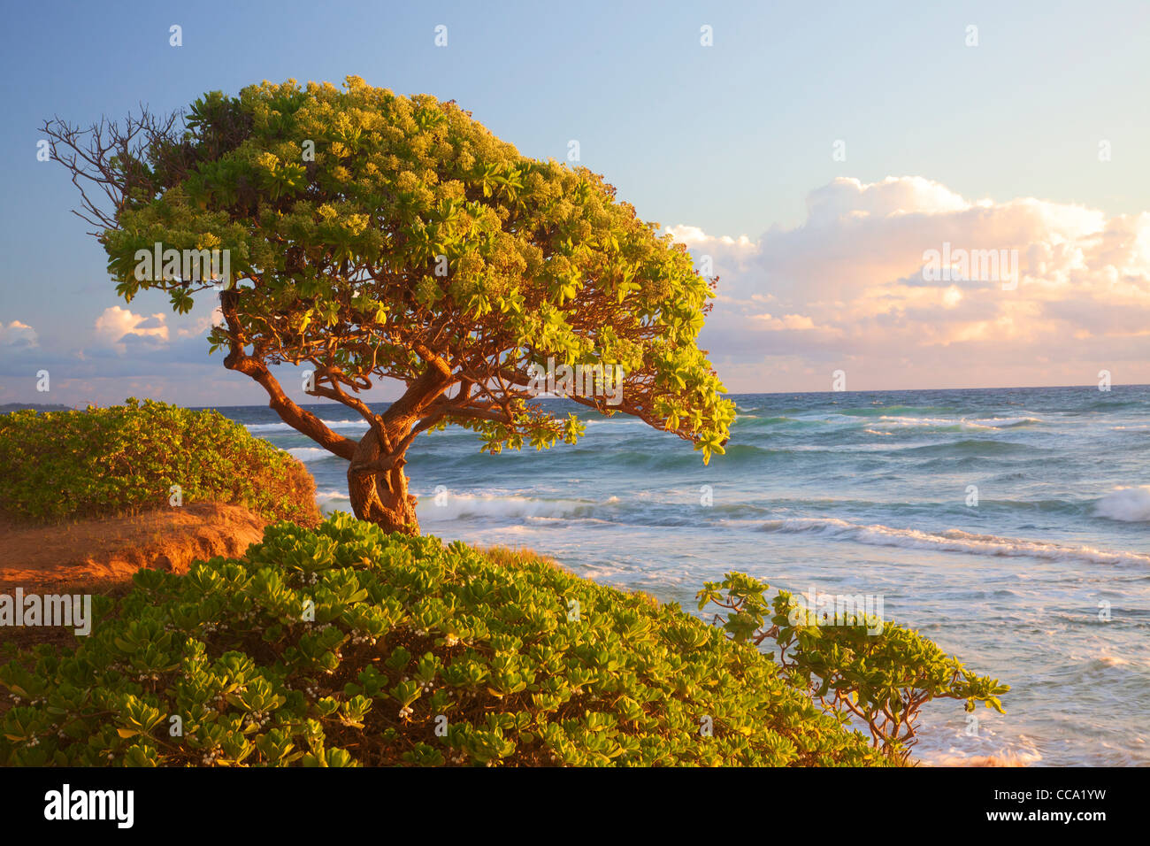 Nukoli'i Strand, auch bekannt als Küchen, Kauai, Hawaii. Stockfoto