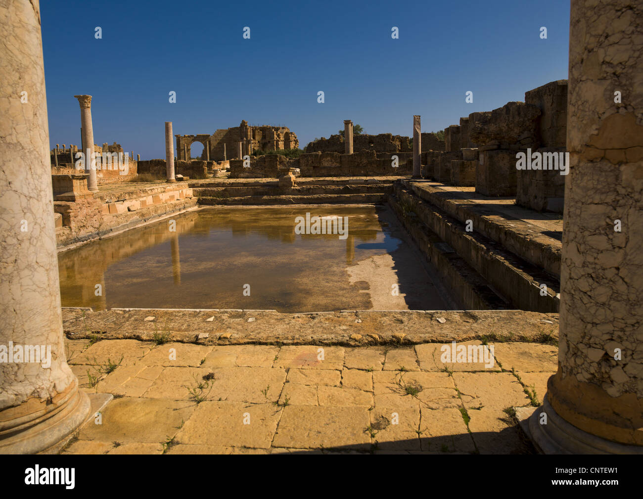 Leptis Magna Roman Website, Libyen Stockfoto