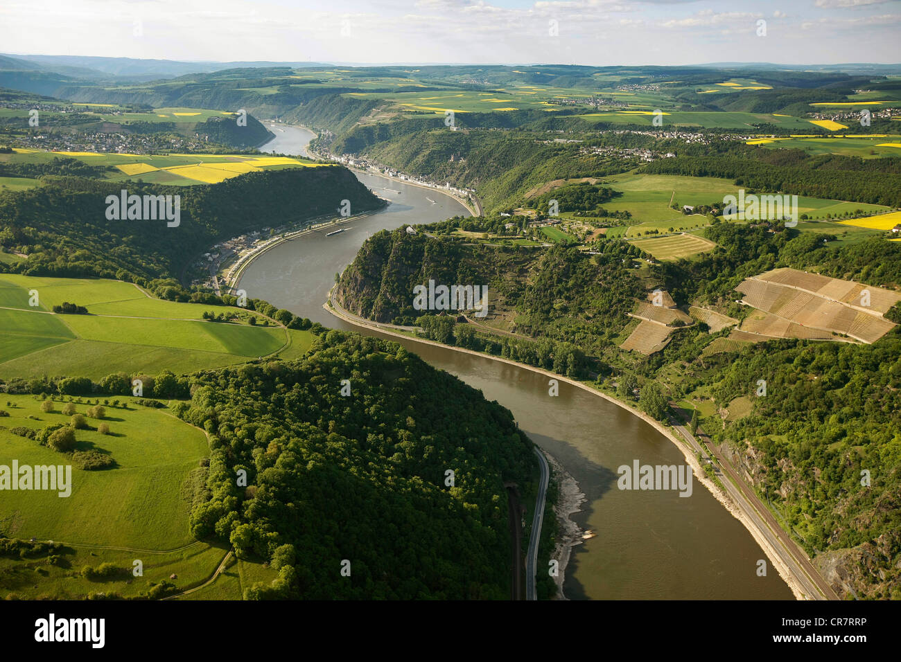 Luftbild, Loreley-Felsen, Oberwesel, Rhein, Niedrigwasser, oberen mittleren Rhein Tal World Heritage Site Stockfoto