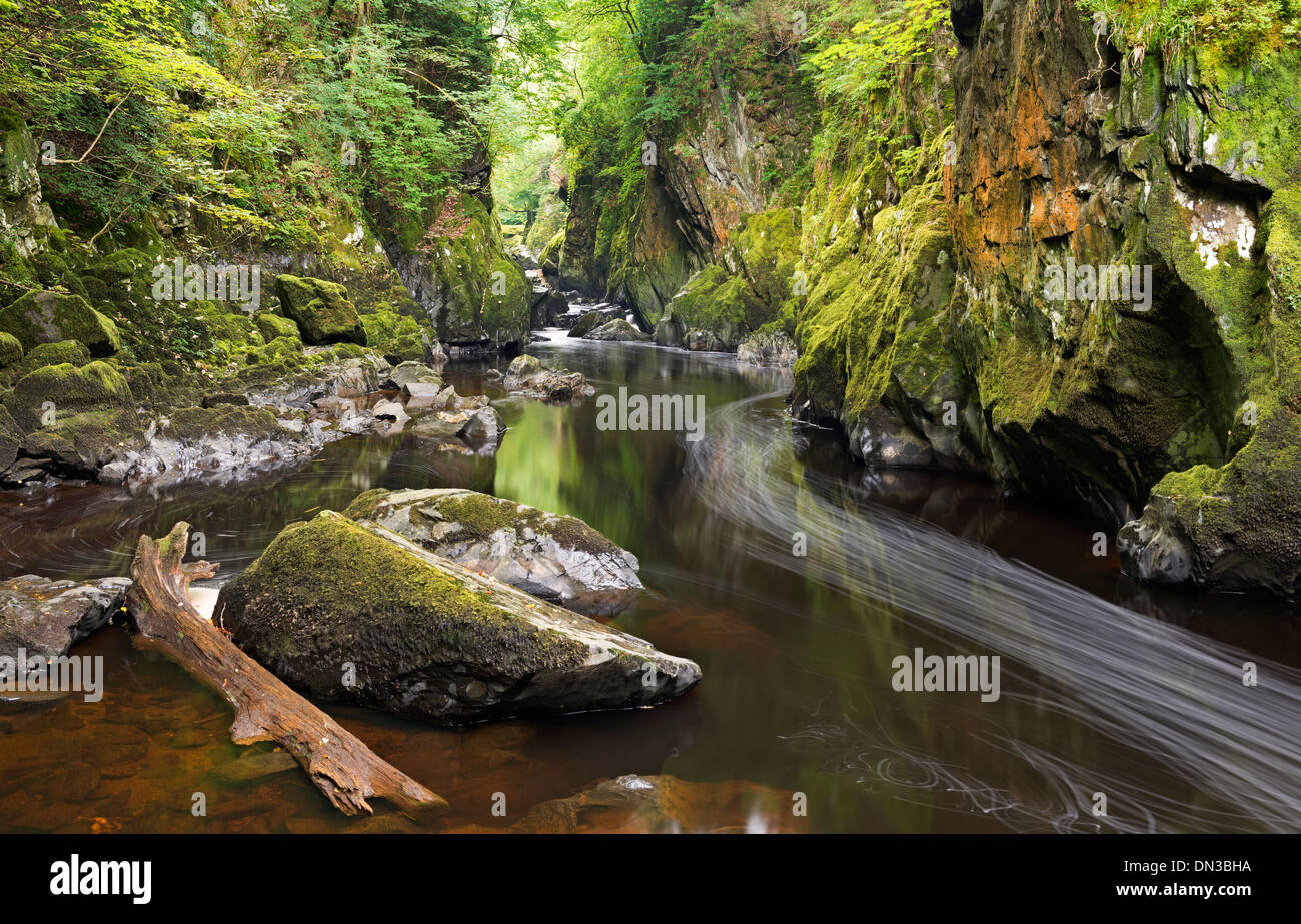 Flusses Conwy durchzieht die Fairy Glen, Betws-y-Coed, Snowdonia-Nationalpark, Wales. Herbst (September) 2013. Stockfoto