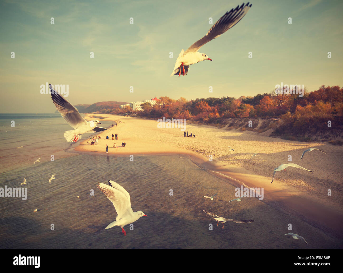 Vintage Retro stilisierte Vögel über einen Strand, Ostsee, Polen. Stockfoto