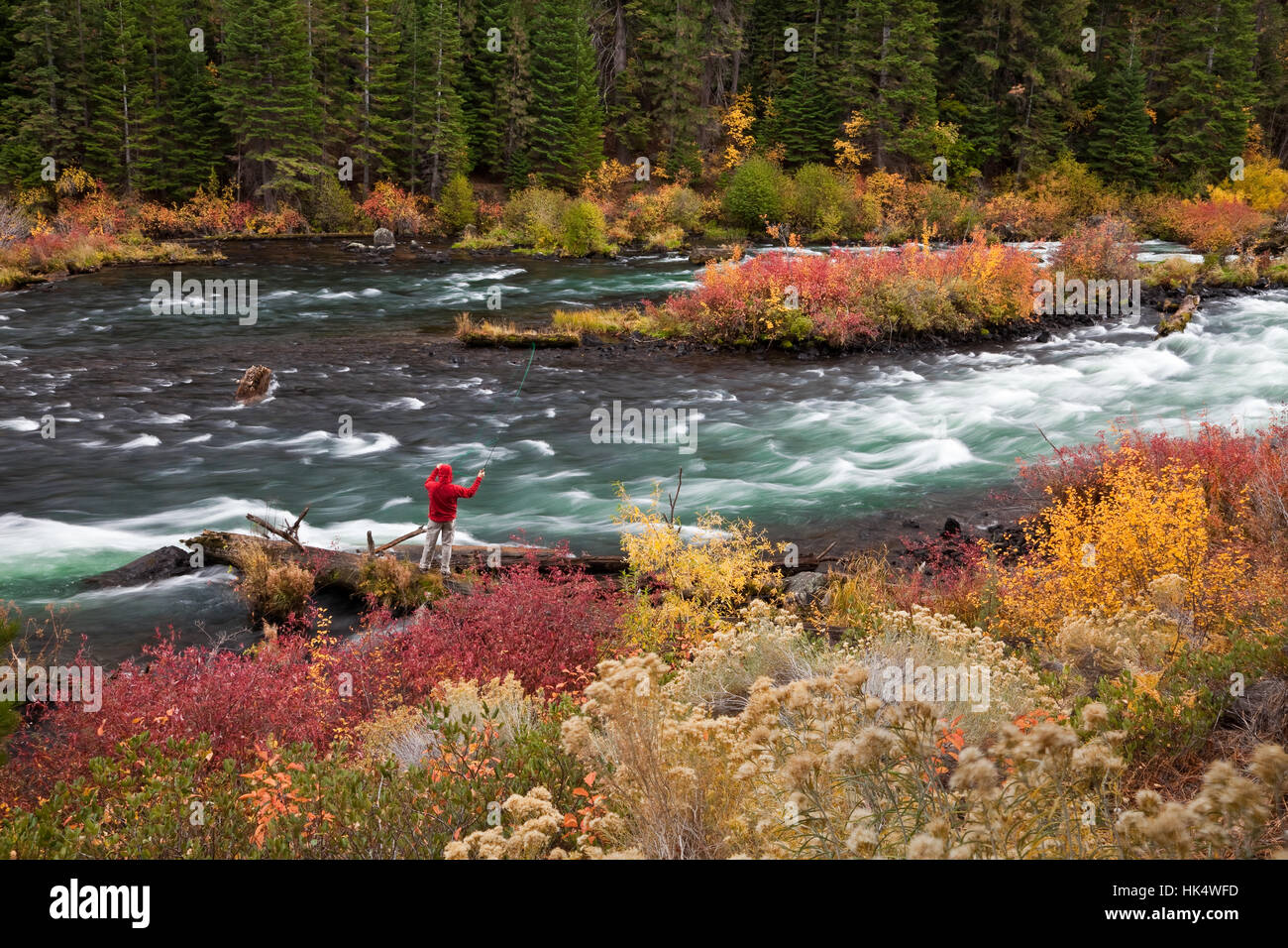 Herbst Fliegenfischen auf der Deschutes River draußen Bend Oregon Stockfoto