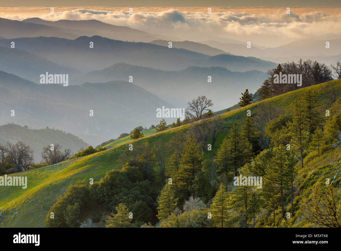 Letztes Licht, Ventana Wilderness, Los Padres National Forest, Big Sur ...