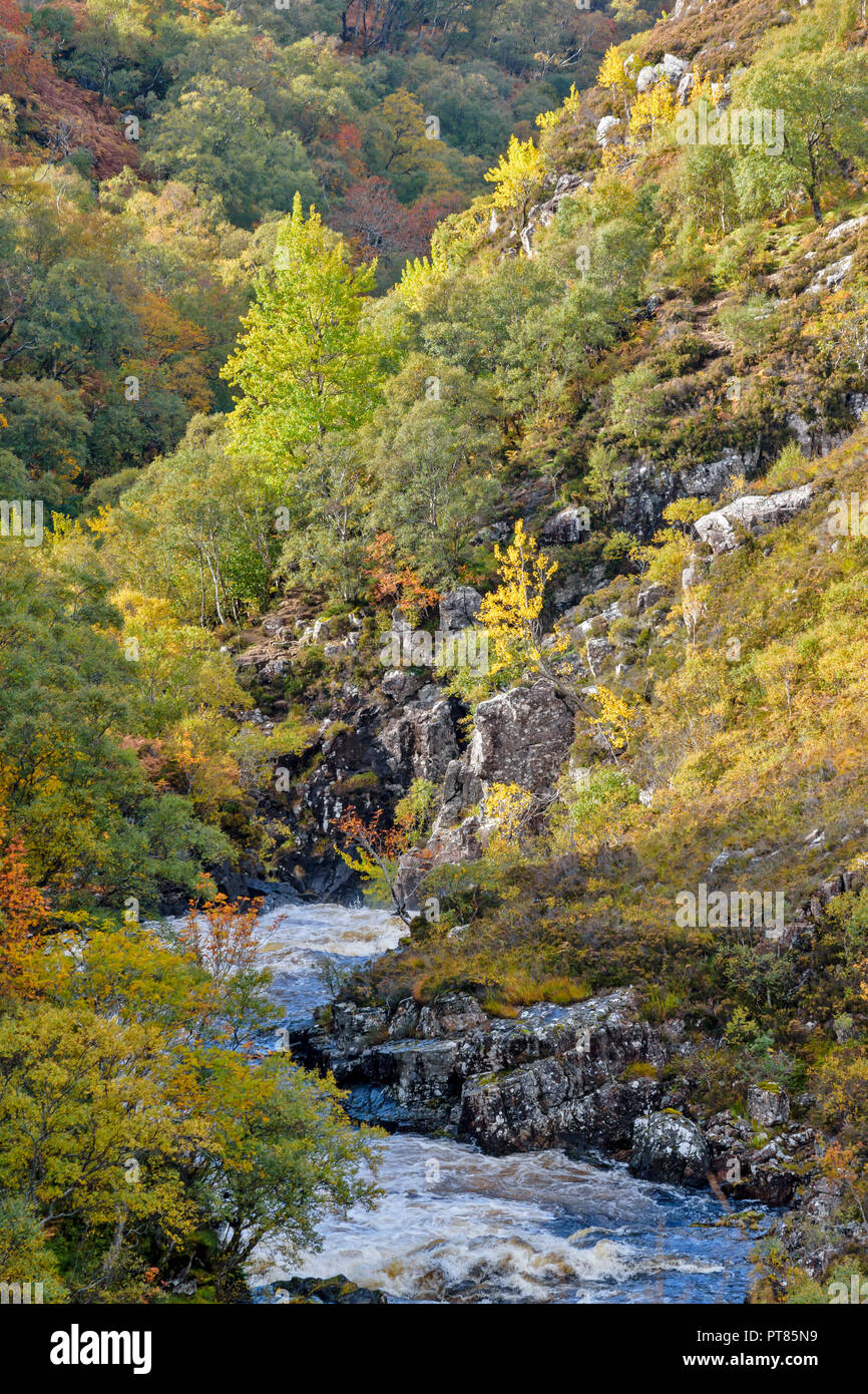 SUILVEN UND RIVER KIRKAIG SUTHERLAND SCHOTTLAND FLUSS UND von Bäumen gesäumte SCHLUCHT DIREKT ÜBER DEM WASSERFALL ODER FÄLLT DER KIRKAIG IM HERBST Stockfoto