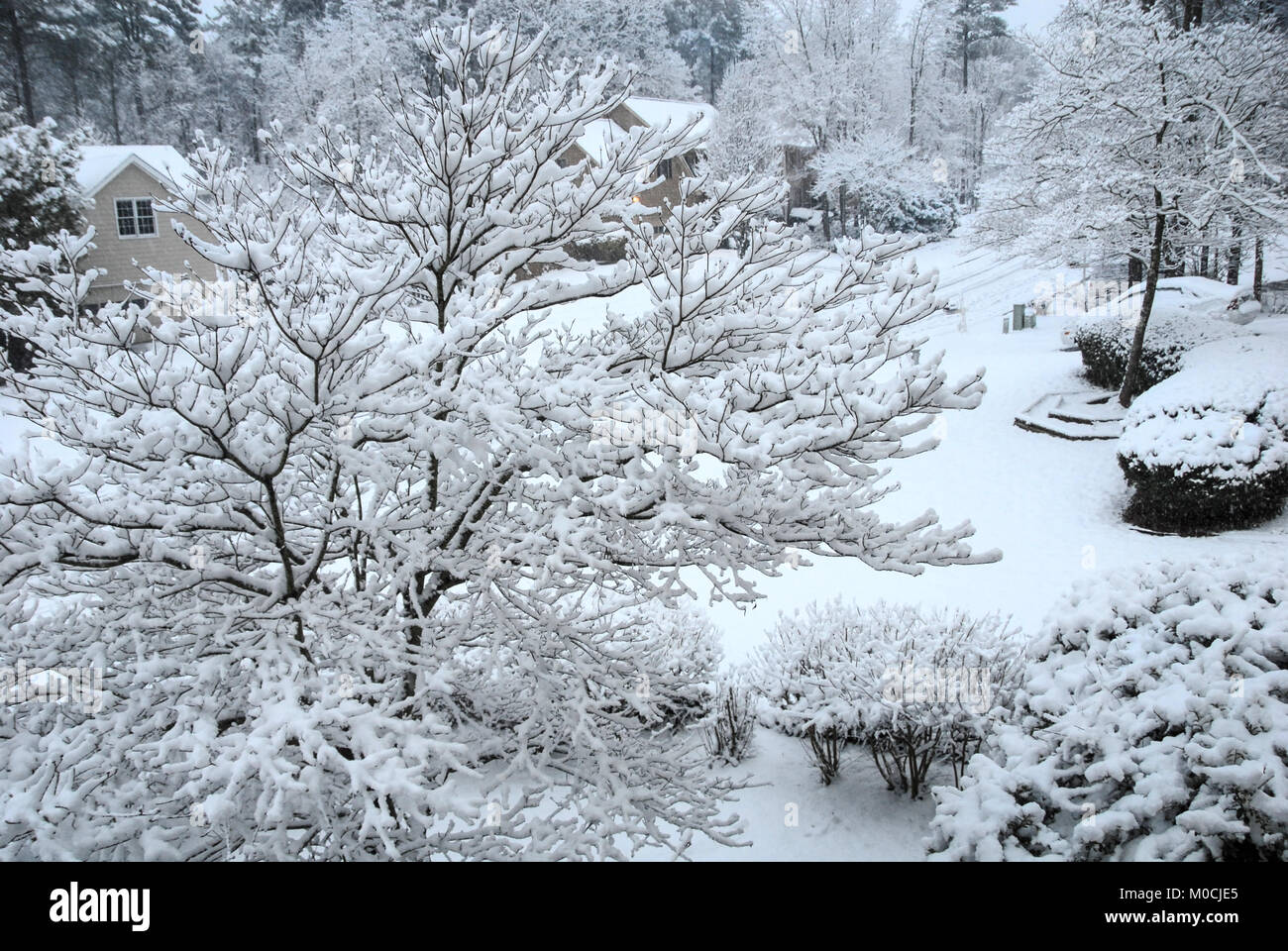 Nieve atlanta fotografías e imágenes de alta resolución Alamy