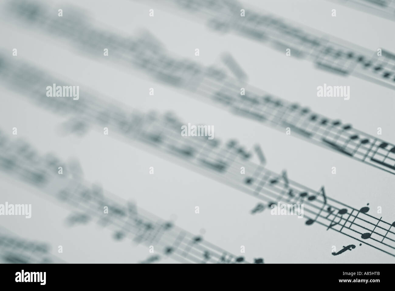 Musique en feuilles, Close Up. Banque D'Images