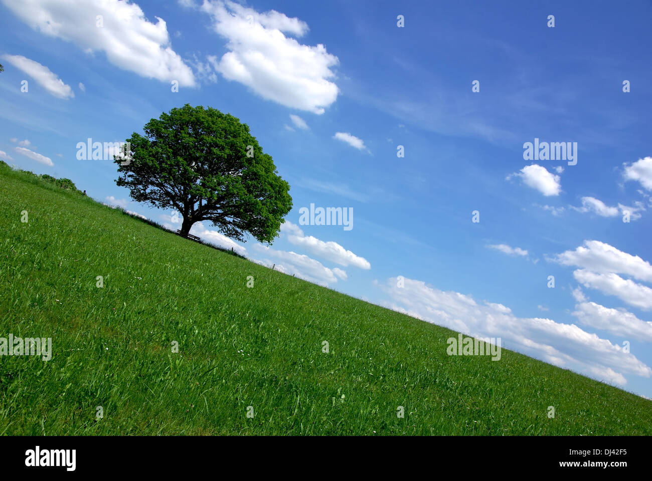 Weiter Himmel. Banque D'Images