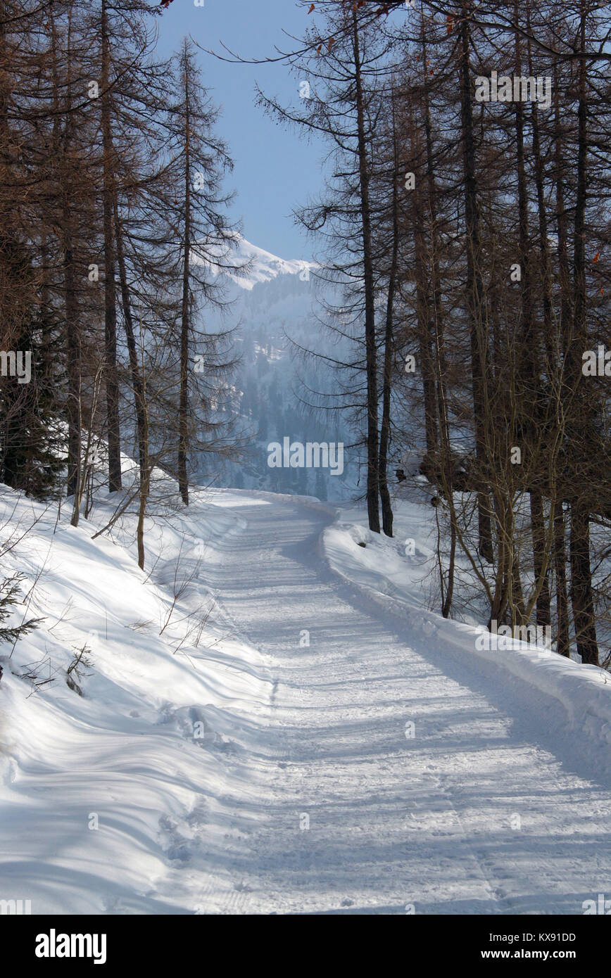 Paesaggio invernale in montagna Foto Stock