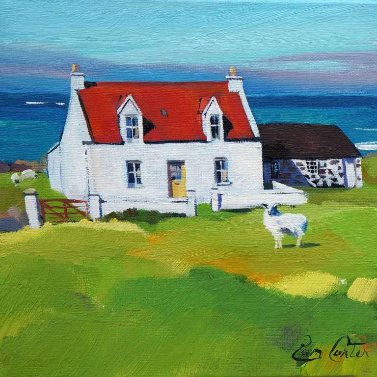 Red Roof & Ewe