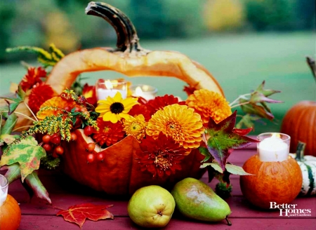 Elegant Thanksgiving - Photography & Abstract Background Wallpapers on ...