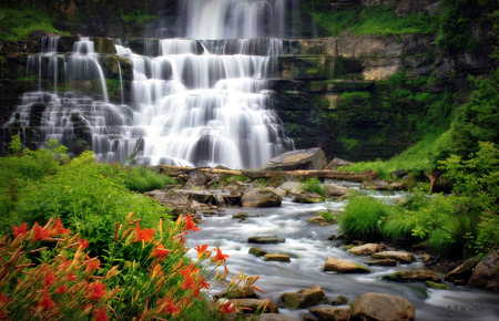 Waterfalls - Waterfalls & Nature Background Wallpapers on Desktop Nexus ...