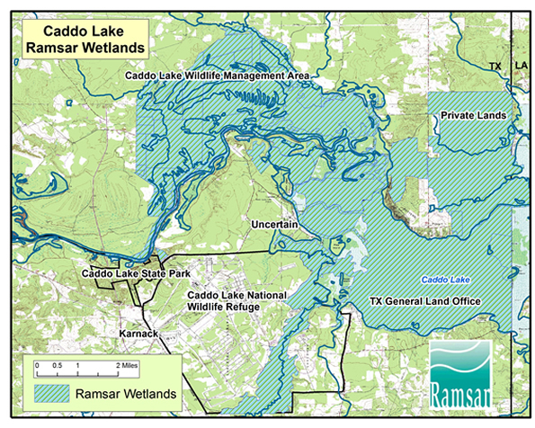 Caddo Lake Texas Map