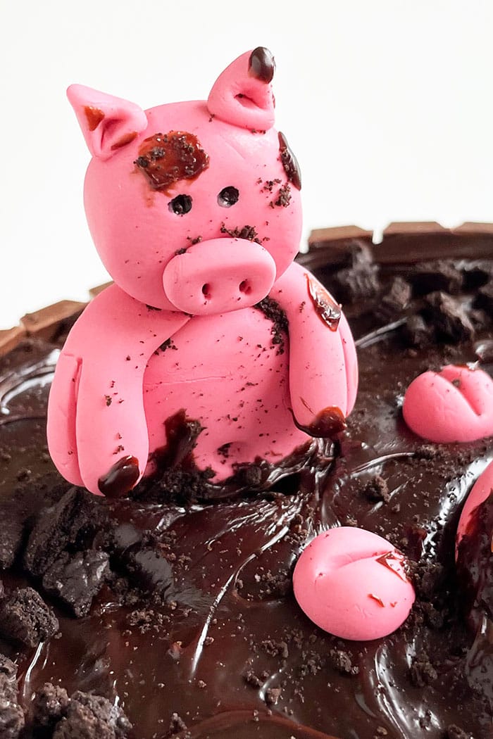 Easy Edible Pig Cake Topper Sitting in Ganache Mud