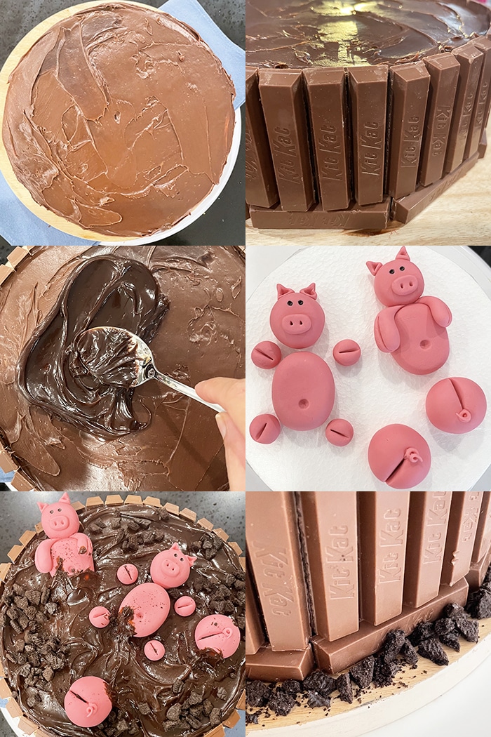 Collage Image With Step By Step Pictures on How to Make Pig Cake