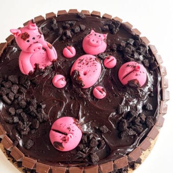 Easy Pig Cake With Kit Kat Border on White Background