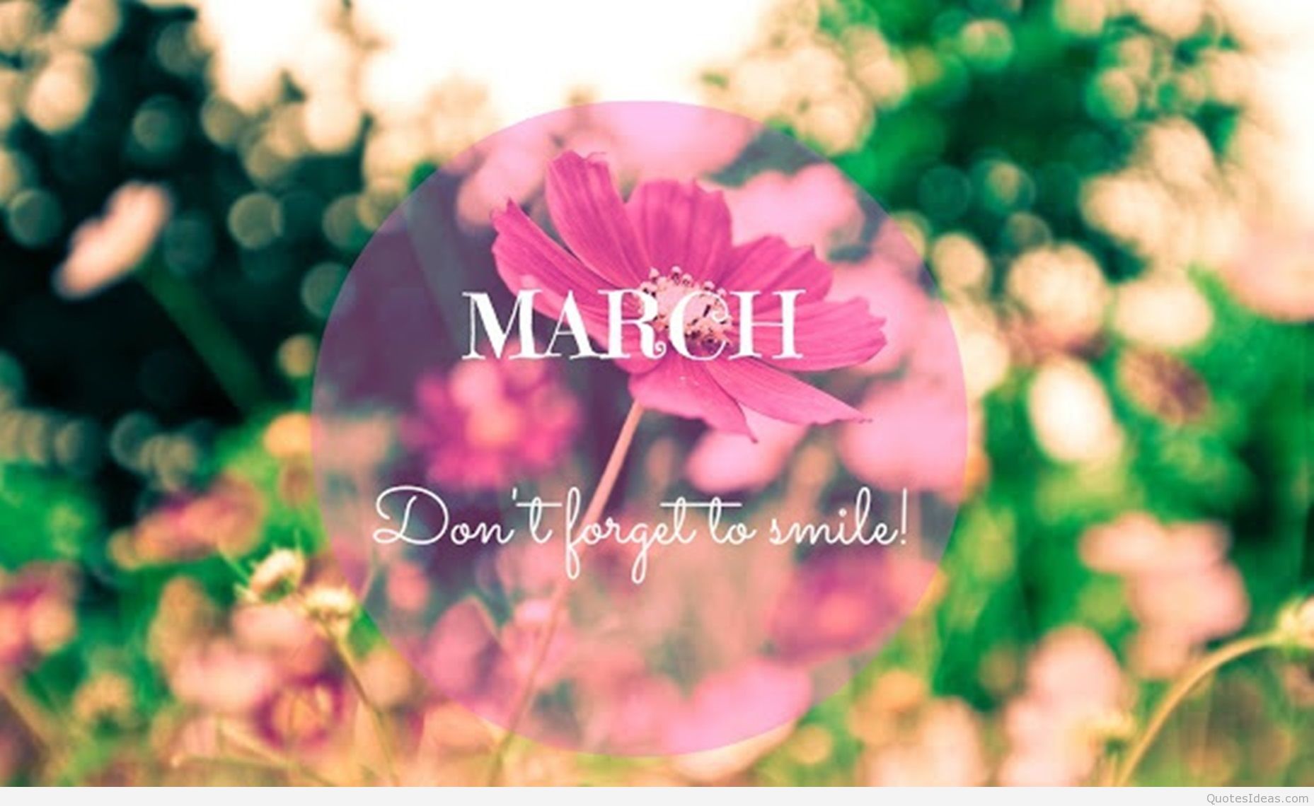 Hello March Quotes Images