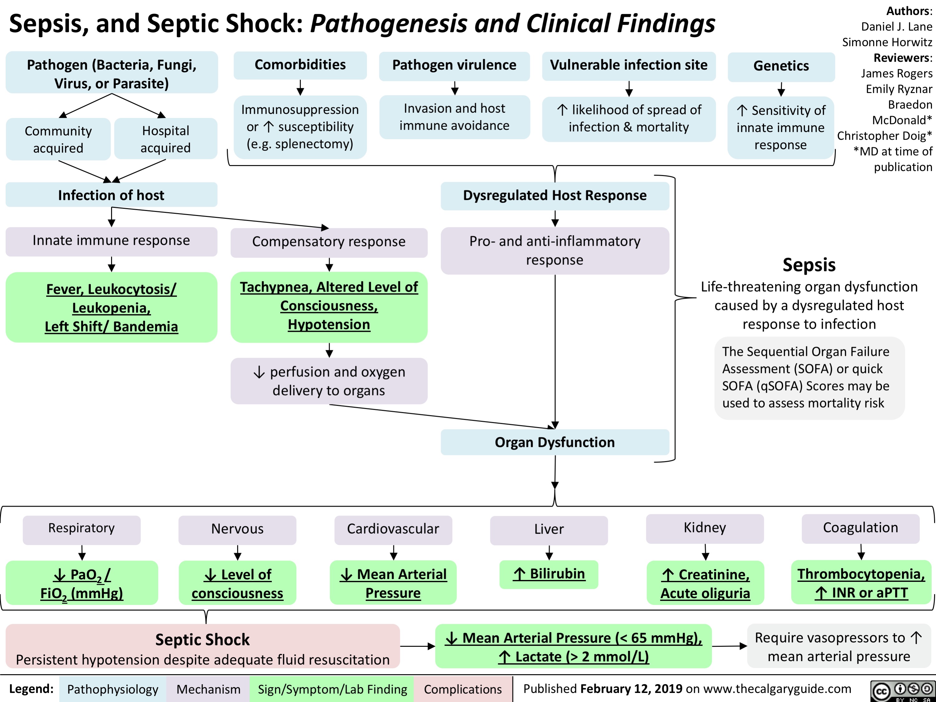 Patofisiologi Sepsis