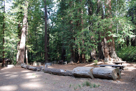 Memorial Park Campground - San Mateo County