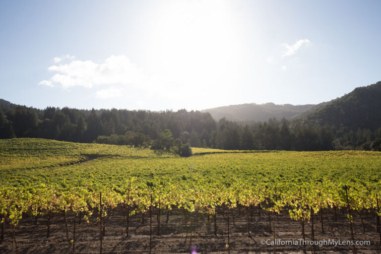 Sonoma City Guide: Wine, Restaurants, History & Hiking