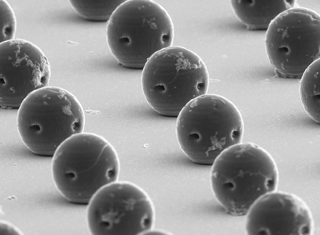 This scanning electron microscopy image of rows of the spherical hydrogel robots in this story clearly shows the two openings on each microrobot described in the piece.