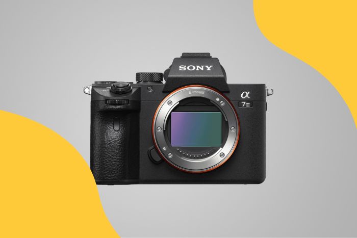 Sony A7 III Best Camera for Artwork Photos