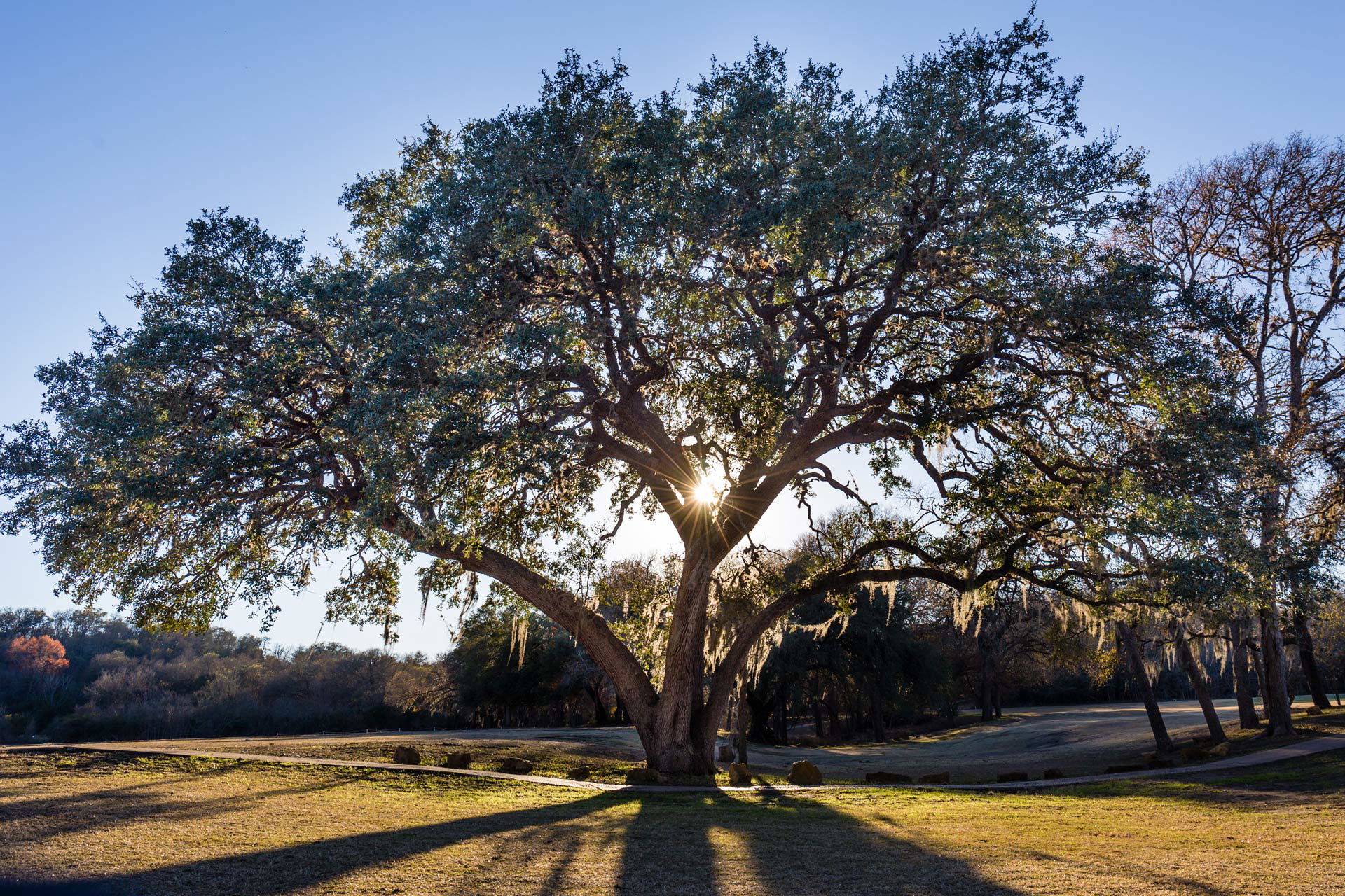 Lockhart State Park