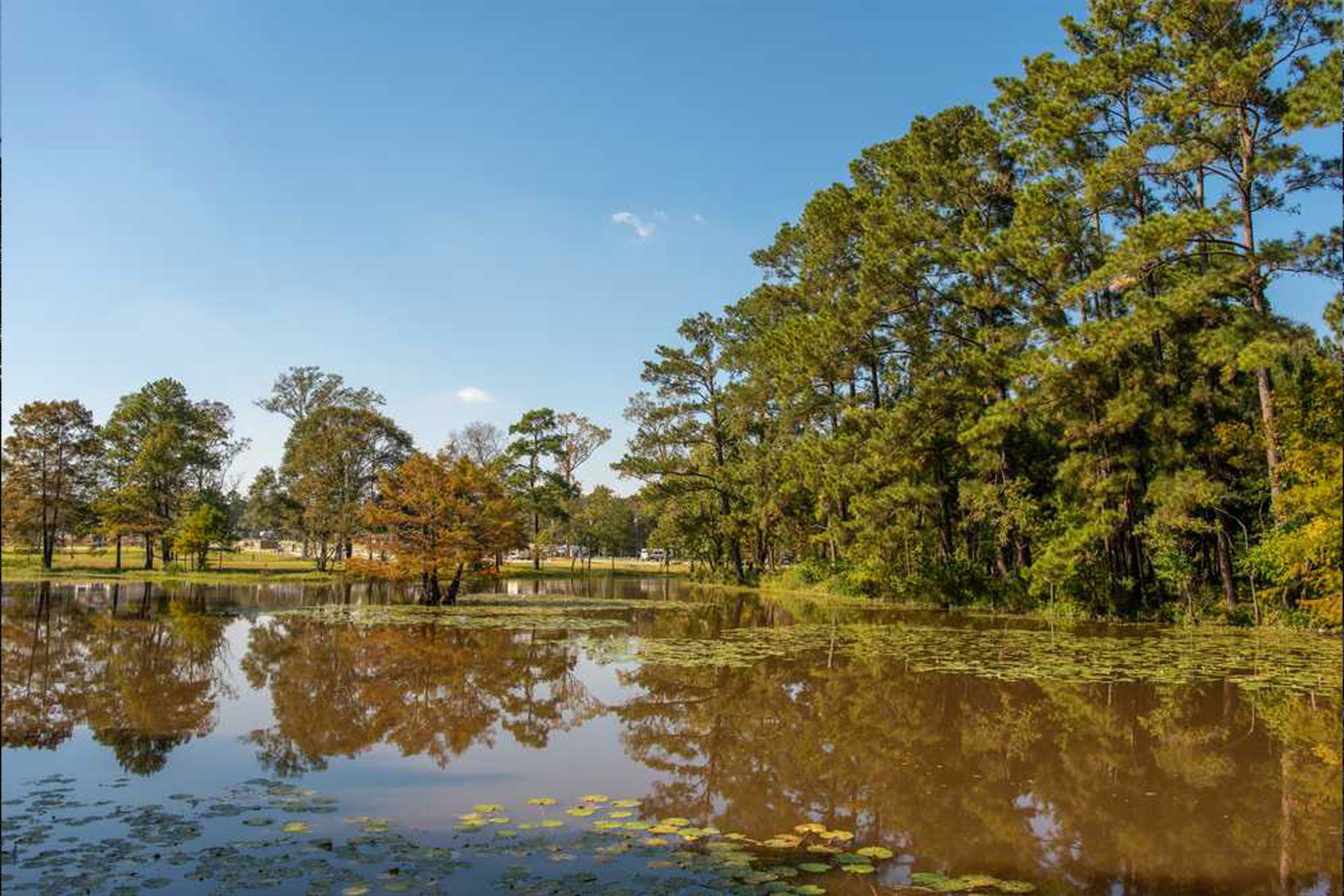 Sheldon Lake State Park and Environmental Learning Center