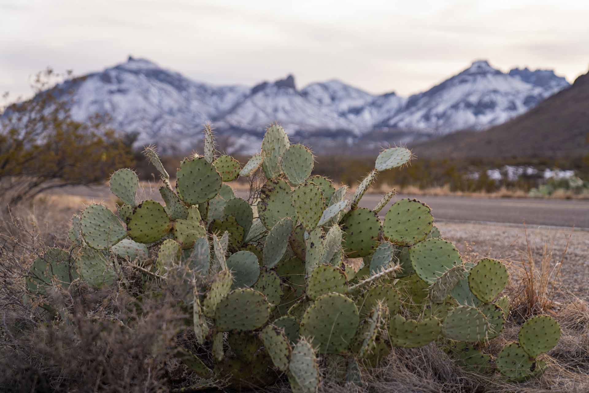 Top 10 Campgrounds in Texas