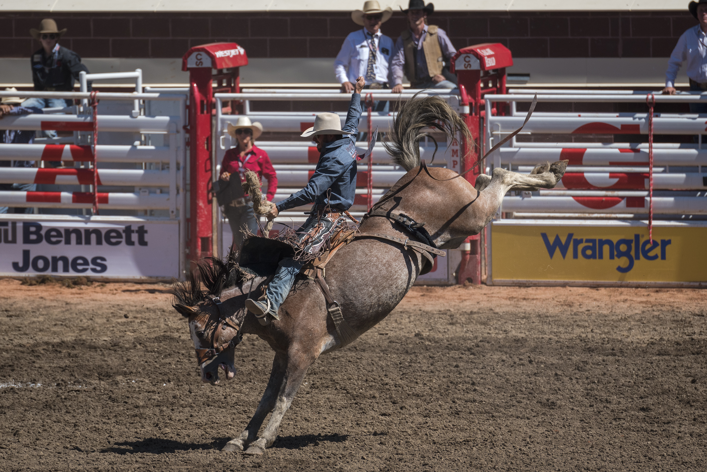 Photos The Calgary Stampede celebrates 105 years Canadian Geographic