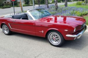 1965 Ford Mustang