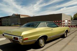 1973 Ford Torino Photo