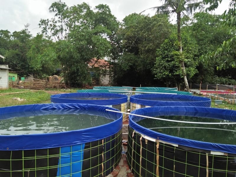 jual kolam bioflok murah