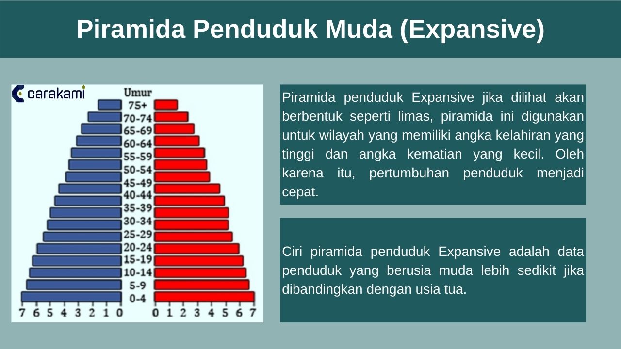 Mengenal Komposisi Penduduk Dari Pengertian Jenis Hingga Piramida ...