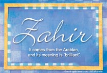 Meaning of the name Zahir