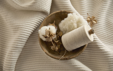 A bowl containing raw cotton, a spool of thread, and dried cotton flowers rests on a textured beige fabric. The composition highlights natural fibers and earthy tones.