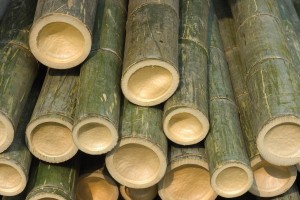 Bamboo Poles