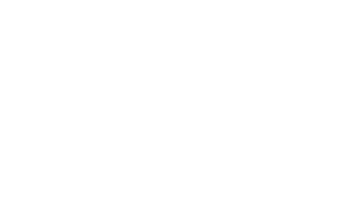 Caritas Logo