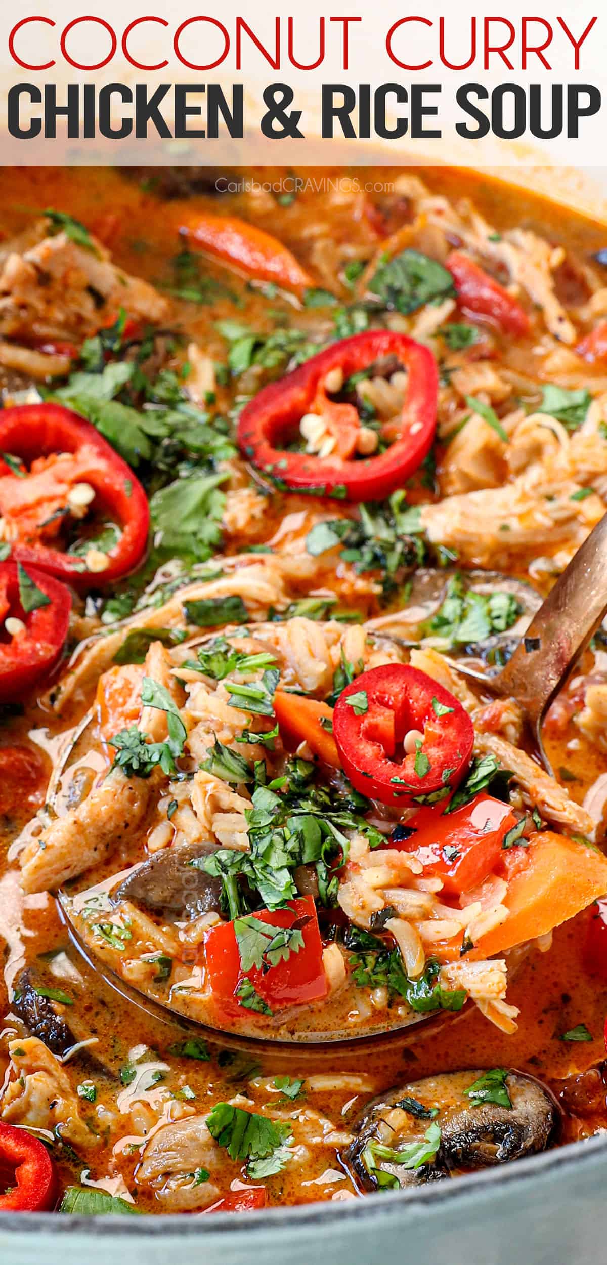 up close of Thai coconut curry soup showing how juicy the chicken is