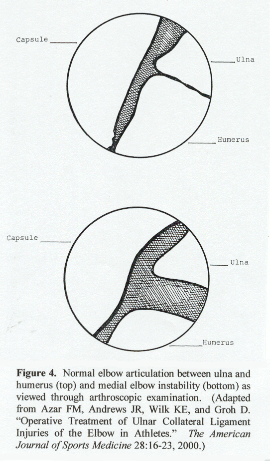 figure4.jpg