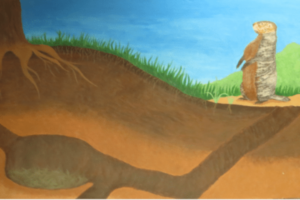 Groundhog out of its hole drawing