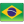 Brazil Flag