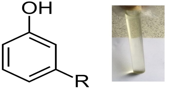 cardanol