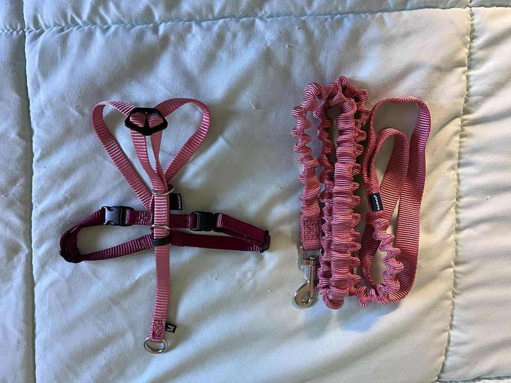 Pet Safe Come with Me Kitty Harness and Leash