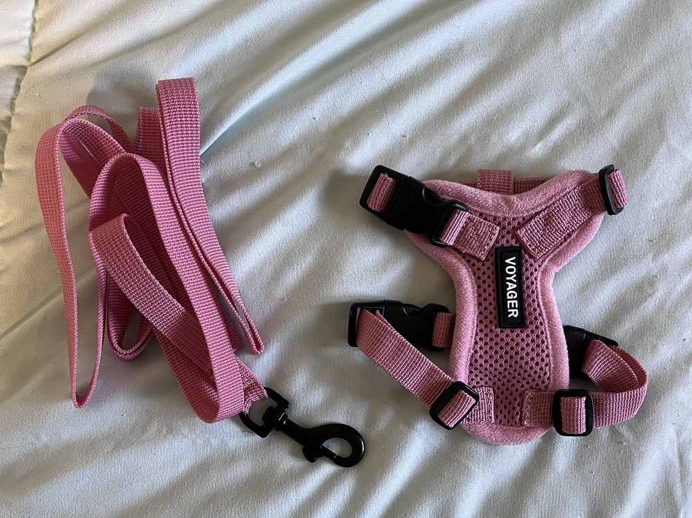 Voyager Step-In Adjustable Cat Harness and Leash