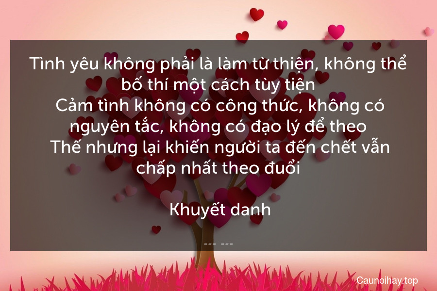 Tình yêu không phải là làm từ thiện, không thể bố thí một cách tùy tiện. Cảm tình không có công thức, không có nguyên tắc, không có đạo lý để theo. Thế nhưng lại khiến người ta đến chết vẫn chấp nhất theo đuổi.
 Khuyết danh