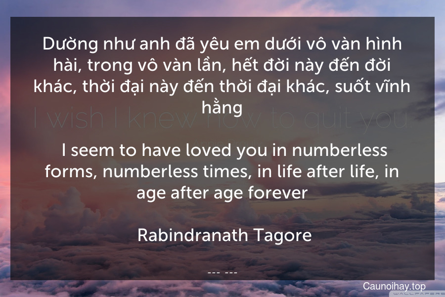 Dường như anh đã yêu em dưới vô vàn hình hài, trong vô vàn lần, hết đời này đến đời khác, thời đại này đến thời đại khác, suốt vĩnh hằng.
 I seem to have loved you in numberless forms, numberless times, in life after life, in age after age forever.
 Rabindranath Tagore