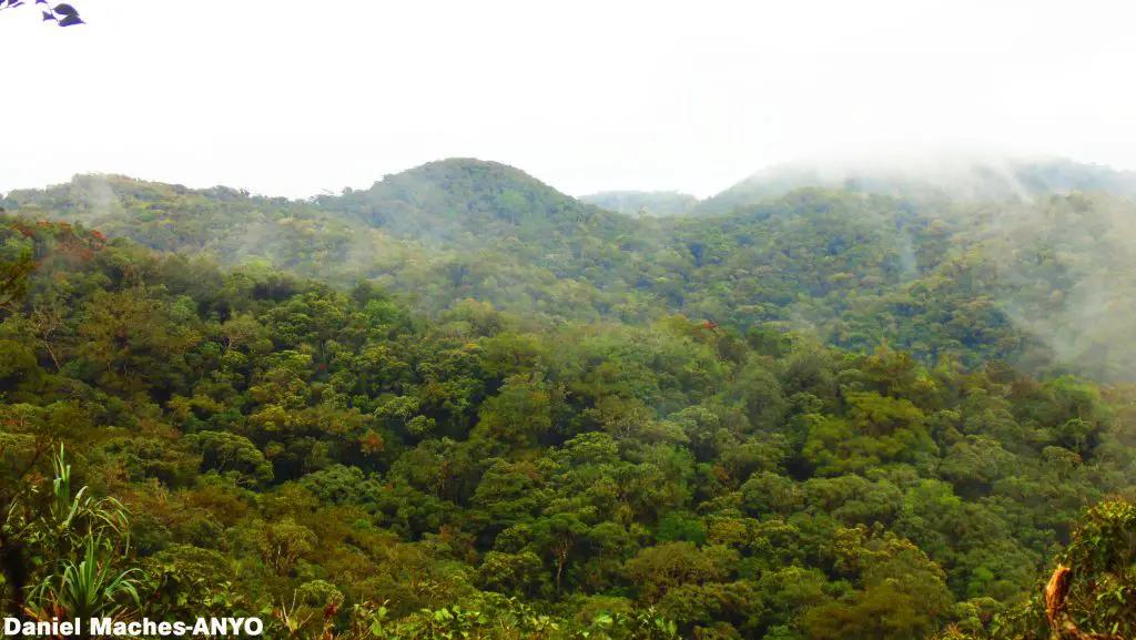 Mount Kalatungan is one of the off-beaten tourist spots in Mindanao